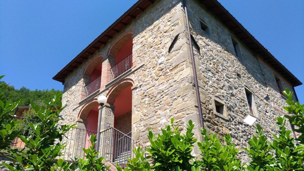 La Collina Dei Franchi Bed & Breakfast Camporgiano Luaran gambar