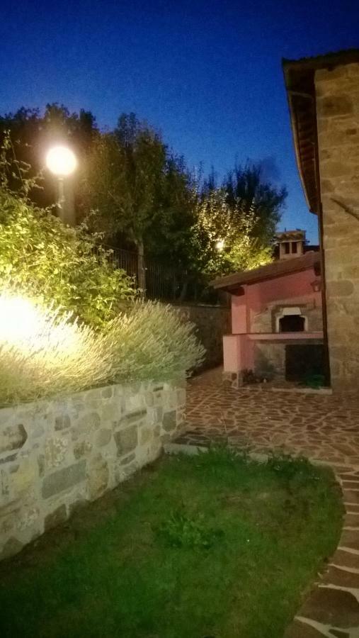 La Collina Dei Franchi Bed & Breakfast Camporgiano Luaran gambar