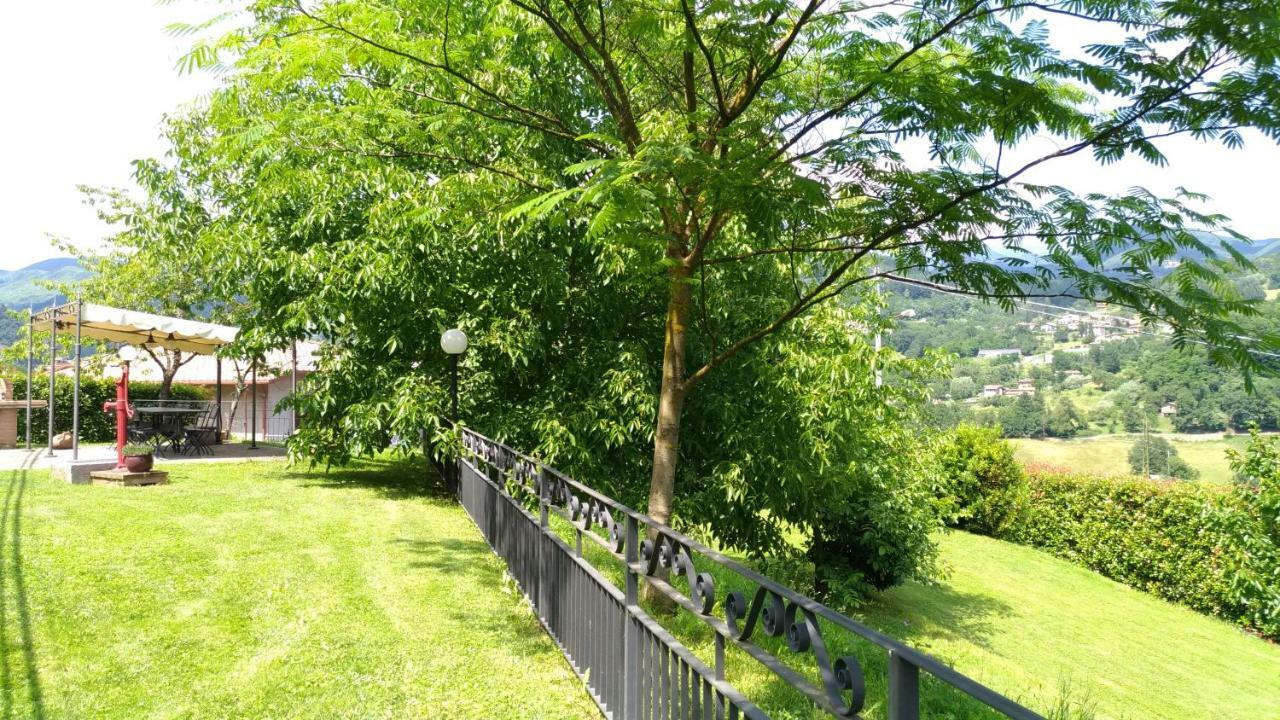 La Collina Dei Franchi Bed & Breakfast Camporgiano Luaran gambar
